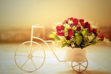 What To Expect from Flower Delivery Services in Hyderabad