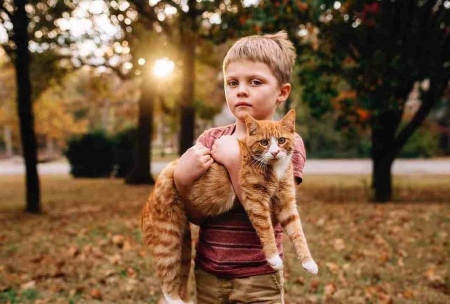 The Benefits of Teaching Kids about Animals
